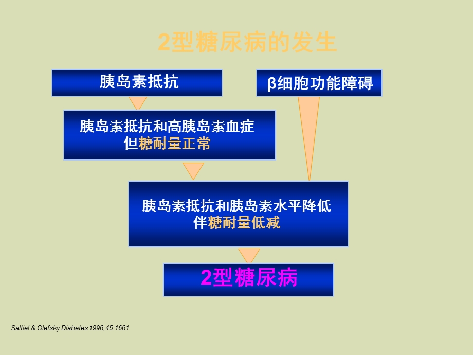 型糖尿病的发病机制及现代治疗.ppt_第3页