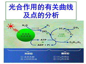 光合作用曲线及点的变化专题.ppt