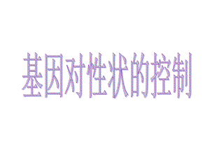 基因对性状的控制(上课用).ppt