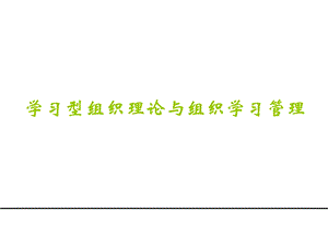 学习型组织理论与组织学习.ppt