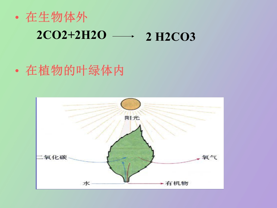 光合作用过程、反应式、比较表.ppt_第1页