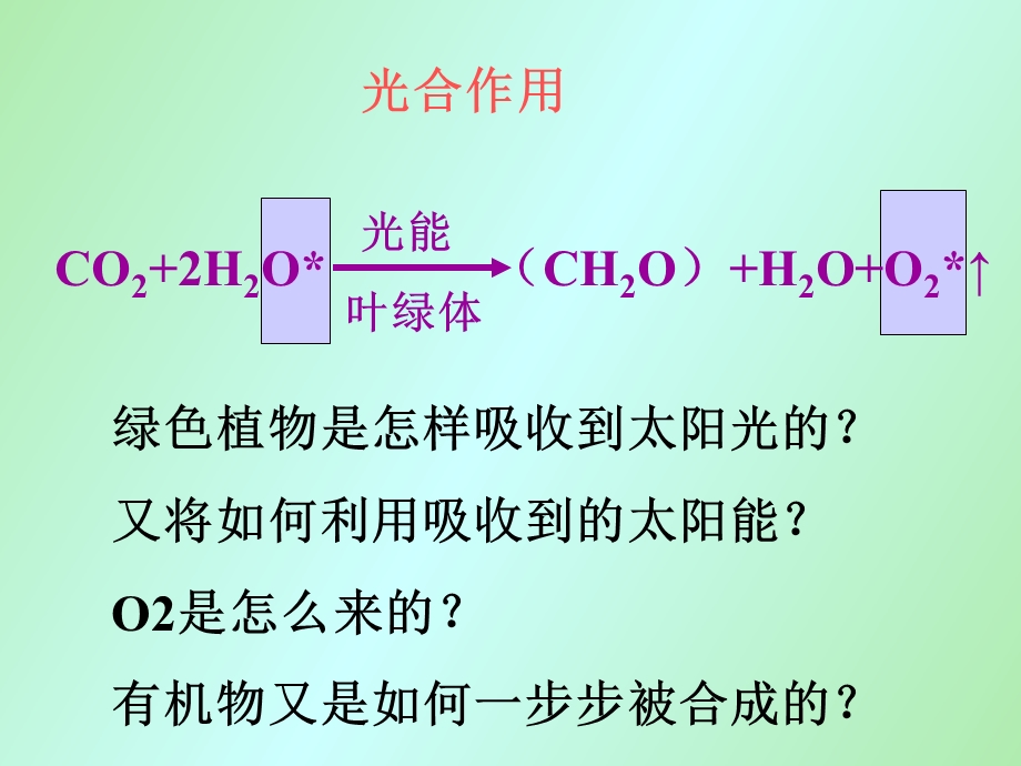 光合作用过程、反应式、比较表.ppt_第2页