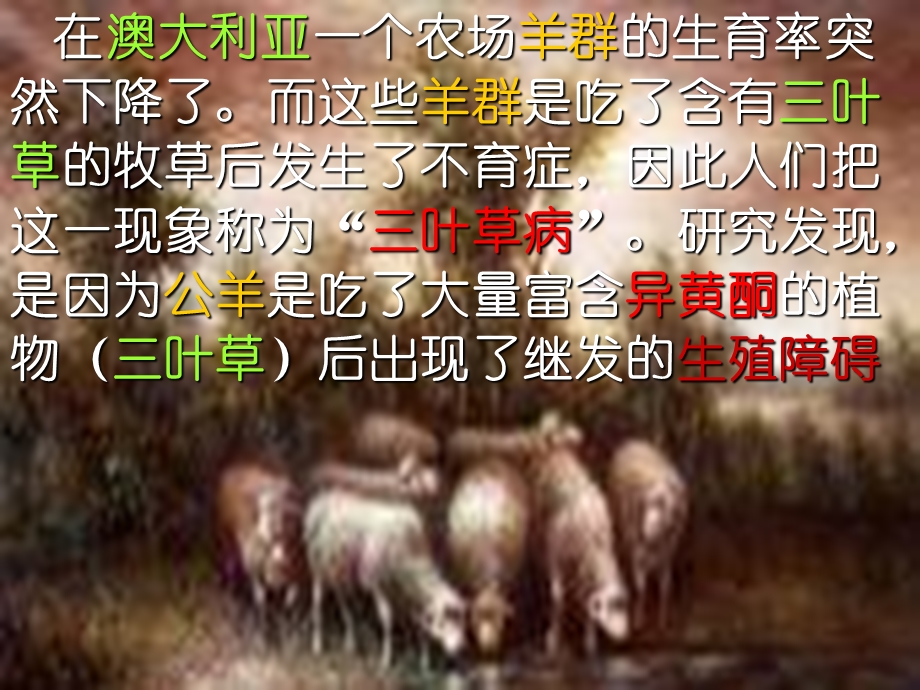 奇妙的植物“雌激素”.ppt_第3页