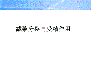 减数分裂和受精作用ppt.ppt