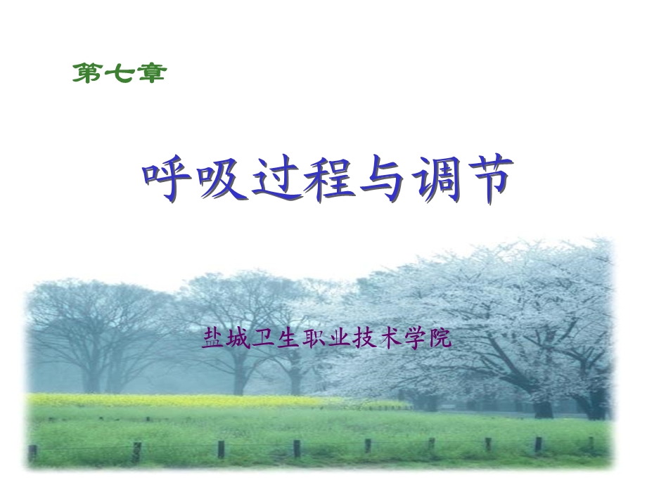 呼吸过程与调节.ppt_第1页