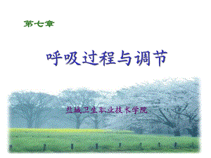 呼吸过程与调节.ppt