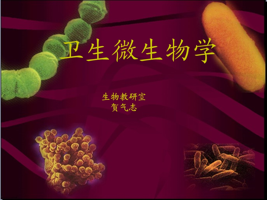 卫生微生物学课件-预防医学专业-第一章绪论.ppt_第1页