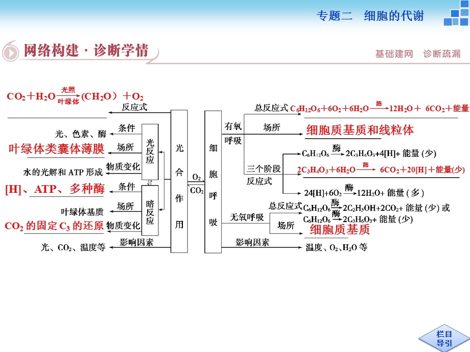 光合作用和细胞呼吸.ppt_第3页