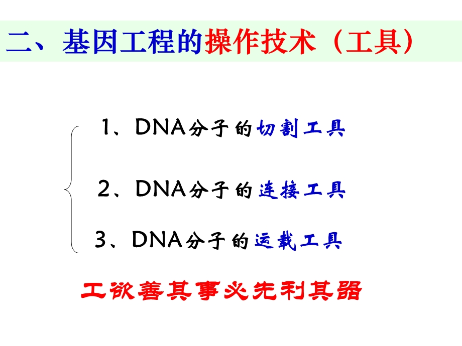 基因工程的基本原理和技术2(北师大).ppt_第3页