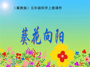 冀教版小学科学五年级上册《葵花向阳》.ppt