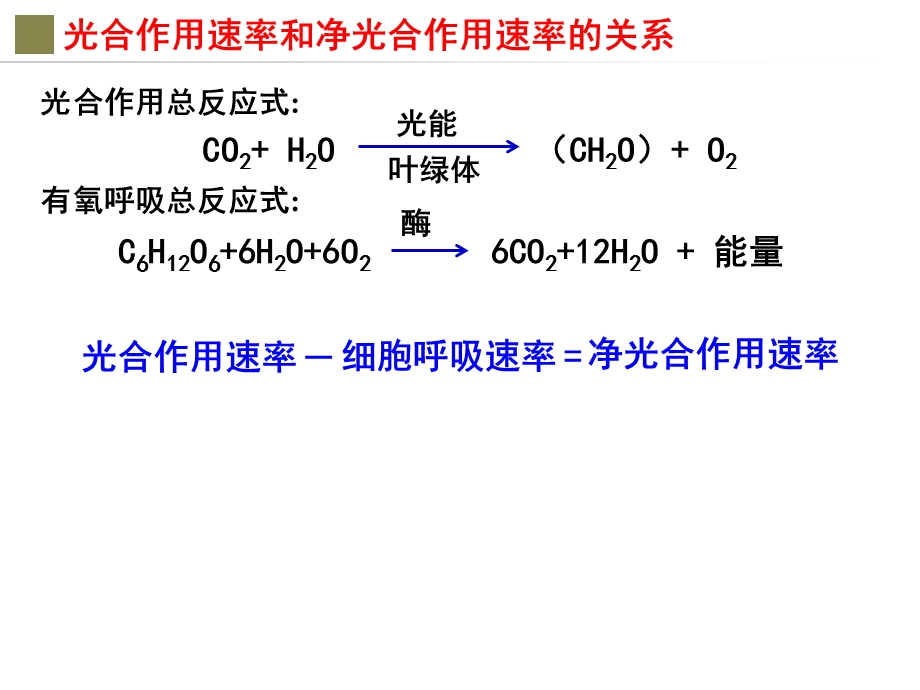 光合作用速率与净光合作用速率的关系.ppt_第2页