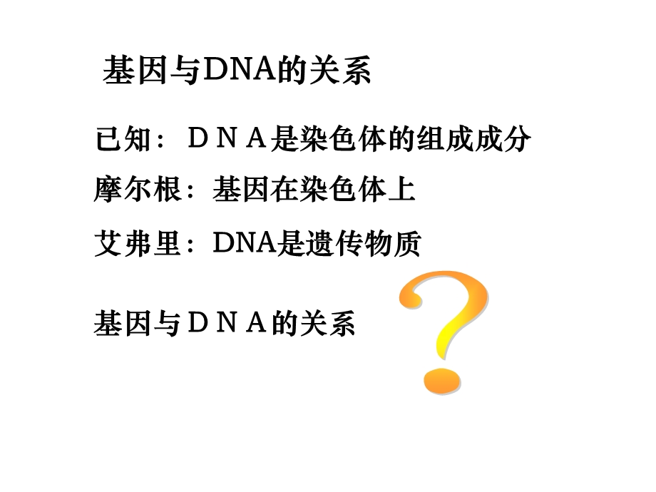 基因与DNA的关系.ppt_第1页