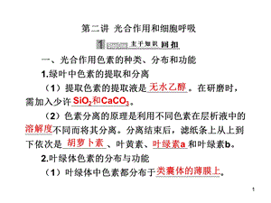 光合作用和细胞有氧呼吸以及无氧呼吸.ppt