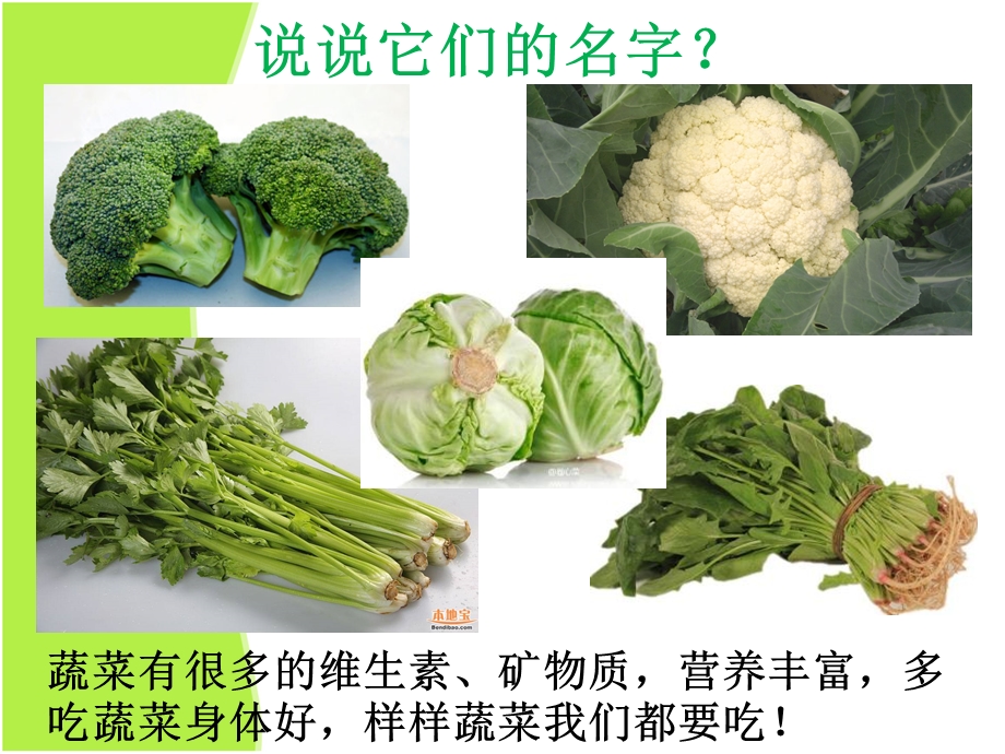 健康课好吃的蔬菜.ppt_第3页