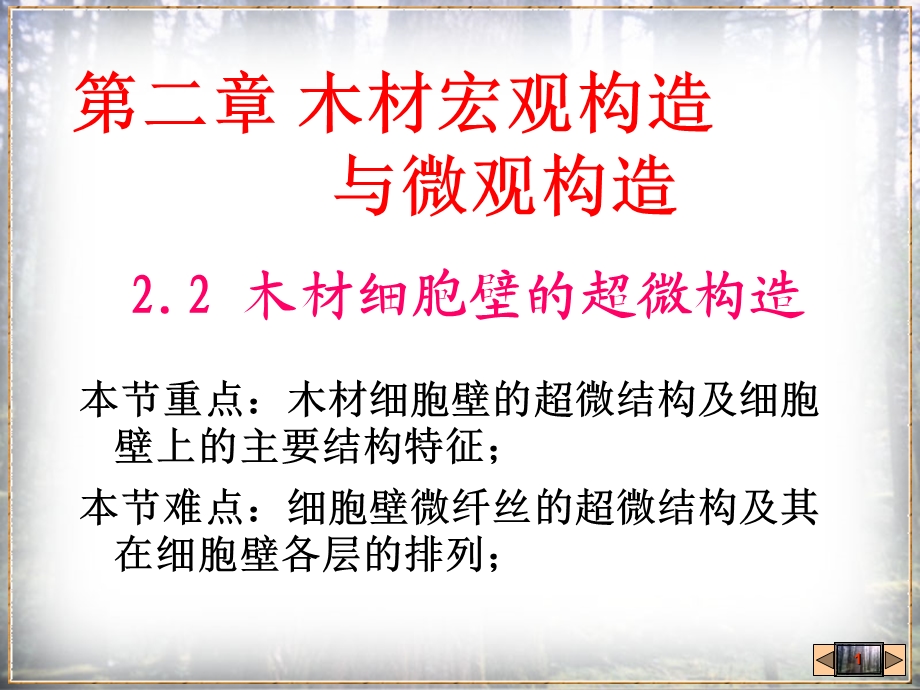 木材细胞壁的超微构造.ppt_第1页