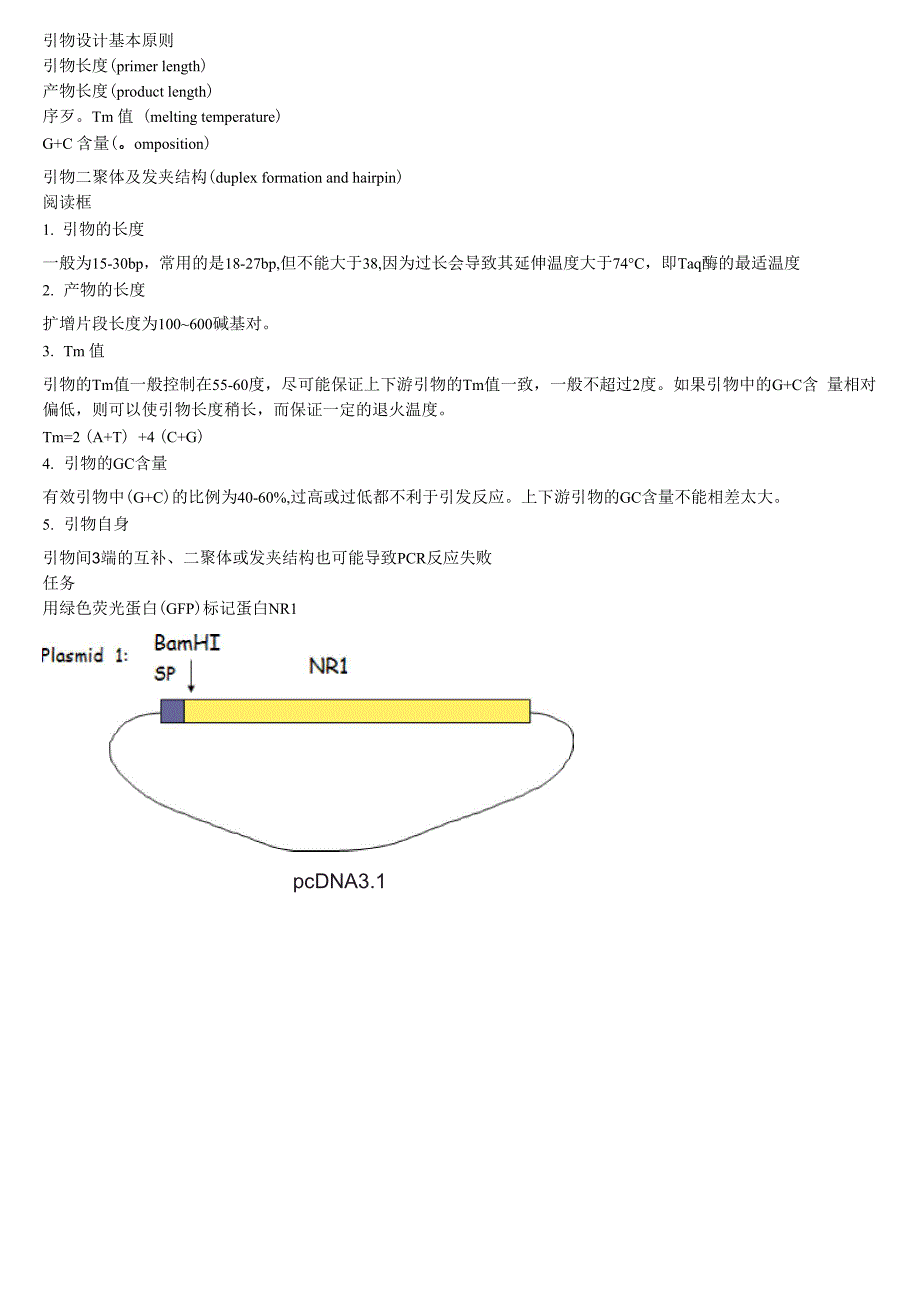 引物设计实例分析.docx_第1页