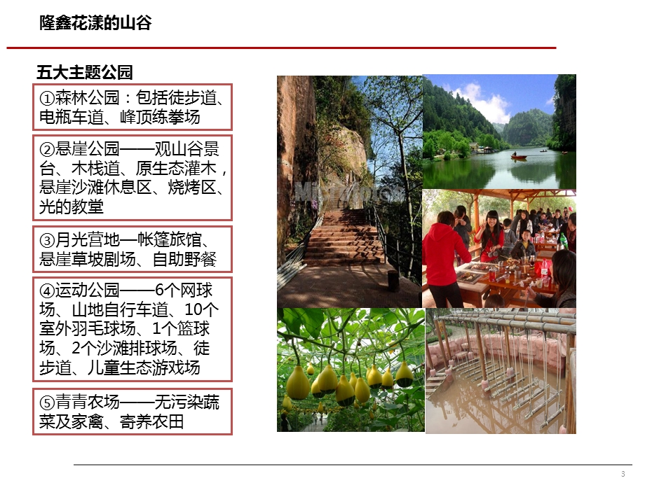 成都、重庆文化旅游地产项目案例研究.ppt_第3页