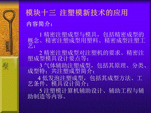 模具设计第十三章注塑模新技术的应用.ppt