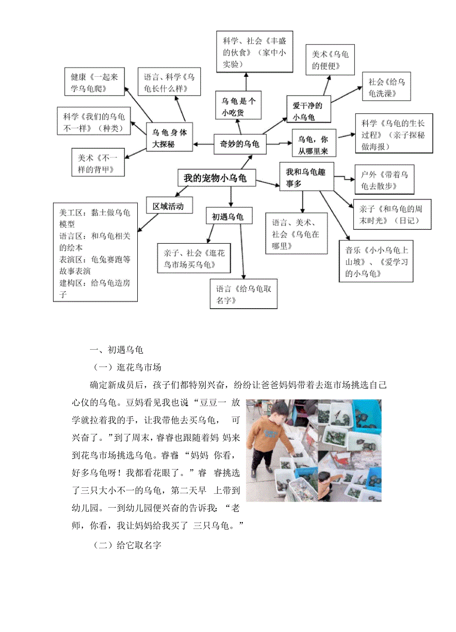 幼儿园：班本课程《小乌龟》.docx_第2页