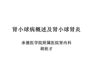 新肾小球病概述新ppt课件.ppt