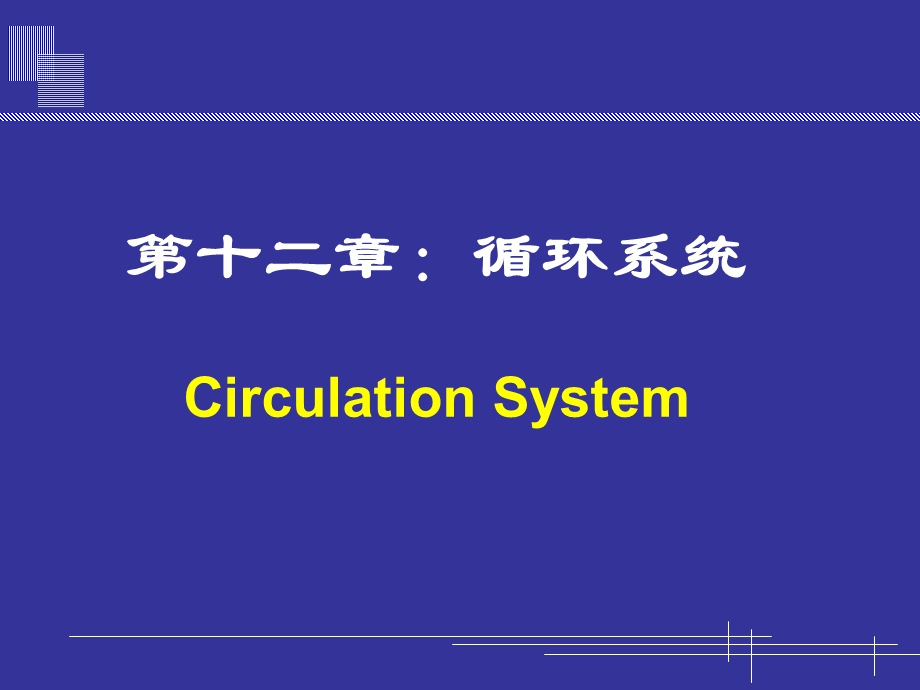 心脏以及循环系统的进化.ppt_第1页