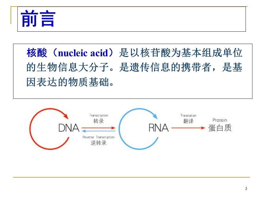 核酸分离和纯化.ppt_第3页