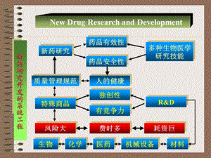 新药研究开发-新药研究过程.ppt