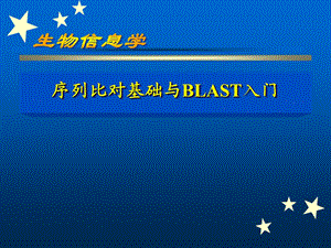 序列比对基础与BLAST入门.ppt