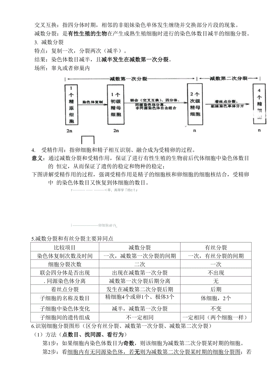 必修2遗传与进化知识点.docx_第3页