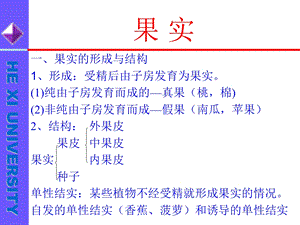 果实的形成与结构.ppt