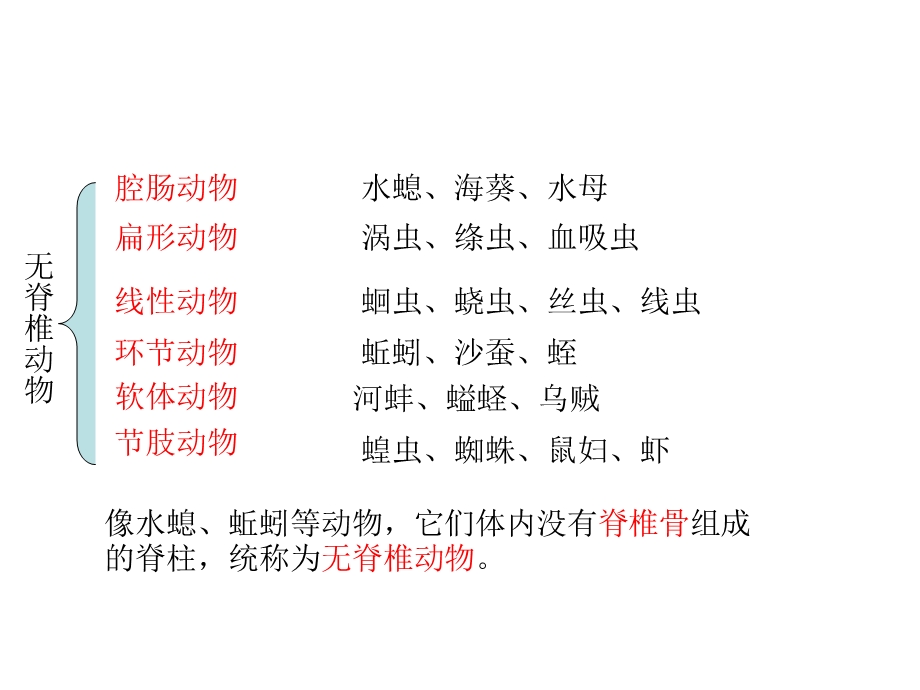 新人教版生物五单元第一章第四节鱼.ppt_第2页