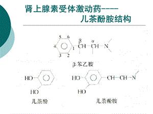 拟抗肾上腺素药(陈少雅人卫7版).ppt