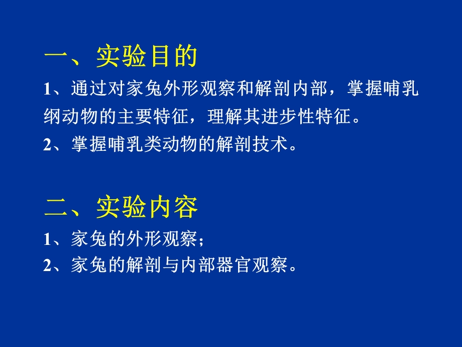 实验-家兔的外形观察和内部解剖.ppt_第2页