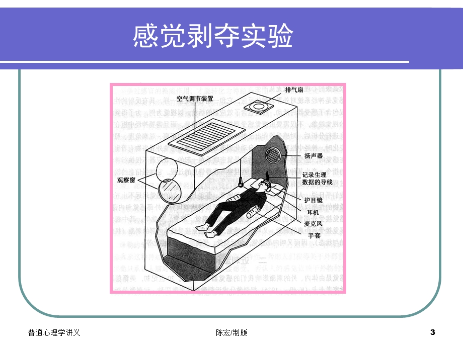 心理学导论课件-感觉.ppt_第3页