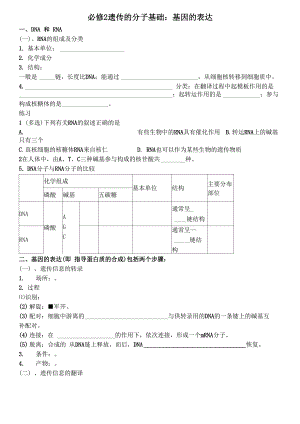 必修2 遗传的分子基础：基因的表达.docx