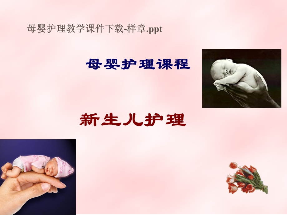 母婴护理知识.ppt_第1页