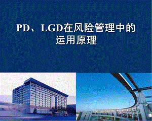 新PD、LGD在风险管理中的运用原理.ppt