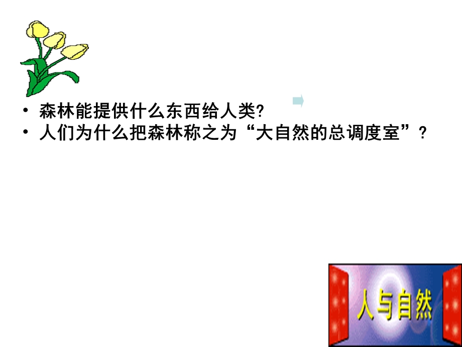 森林的开发和保护教学课件.ppt_第2页