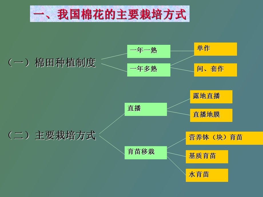 棉花栽培重点.ppt_第3页