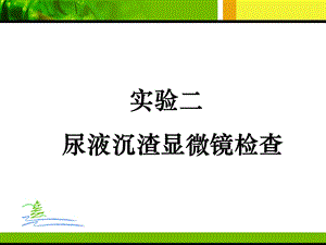 实验-尿液检查.ppt