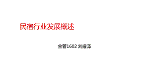 民宿行业发展概述.ppt