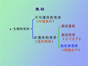 染色体变异新授.ppt