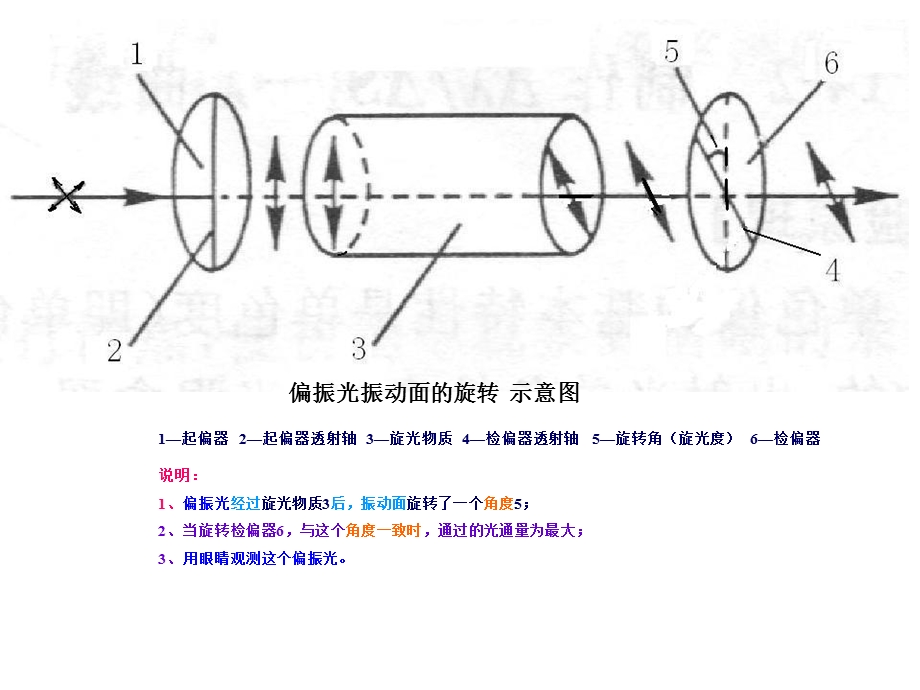 旋光实验数据处理.ppt_第2页