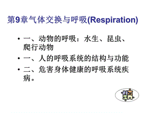 普通生物学动物的形态与功能2ppt课件.ppt