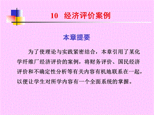 某化学纤维项目经济评估案例.ppt