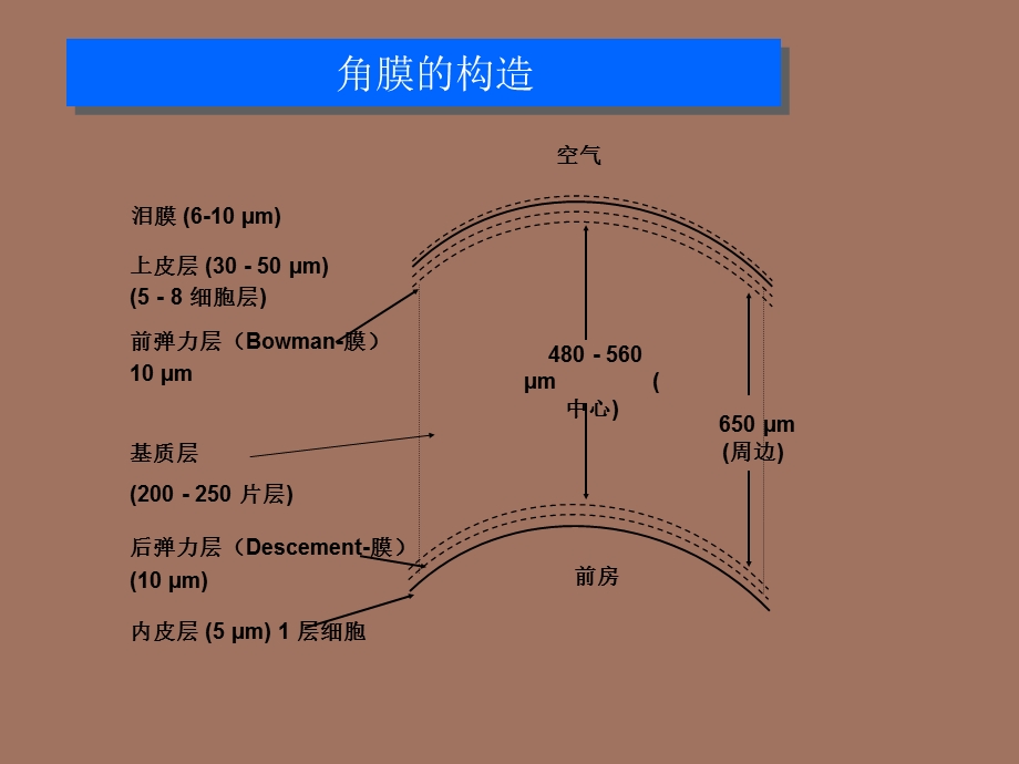 屈光手术基础.ppt_第3页