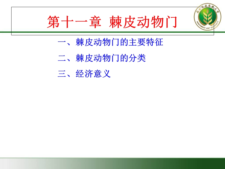 棘皮、半索、脊索动物门、园口纲.ppt_第3页