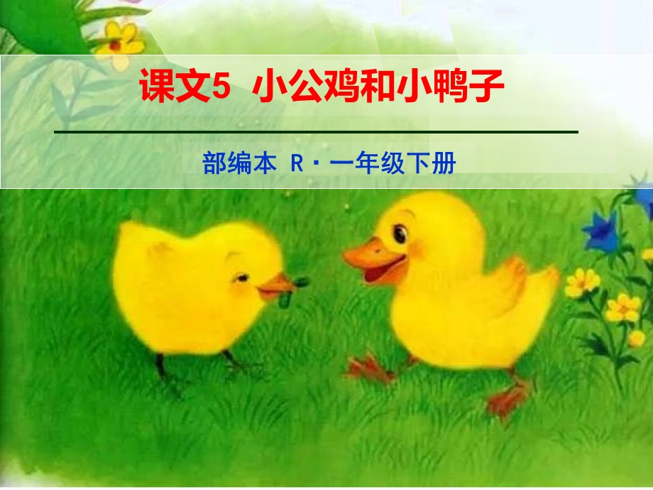 新人教版一年级下册课文5《小公鸡和小鸭子》教学课件.ppt_第1页