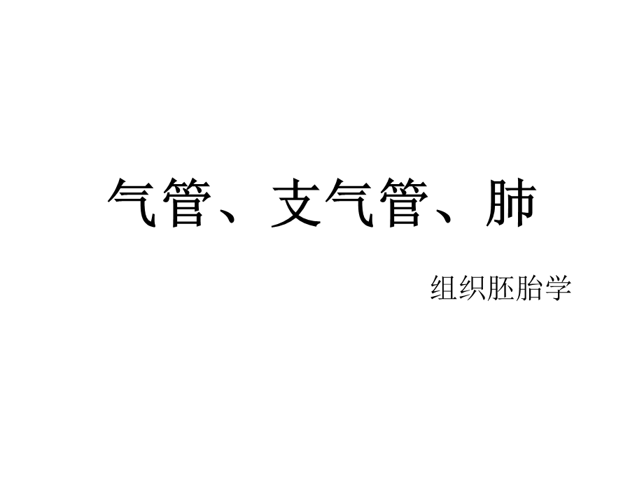 气管、支气管、肺(组织学).ppt_第1页