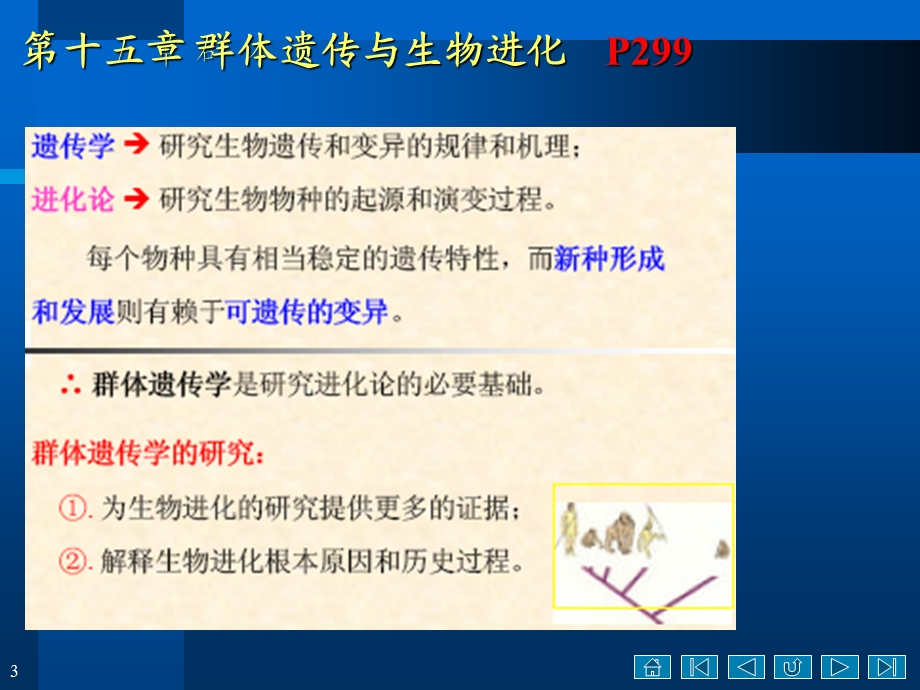 普通遗传学课件.ppt_第3页